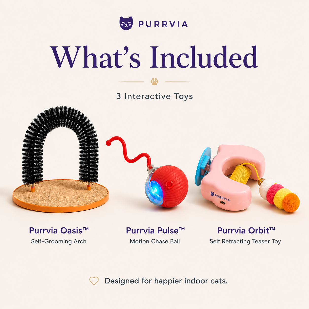 The 9-to-5 Cat Kit™